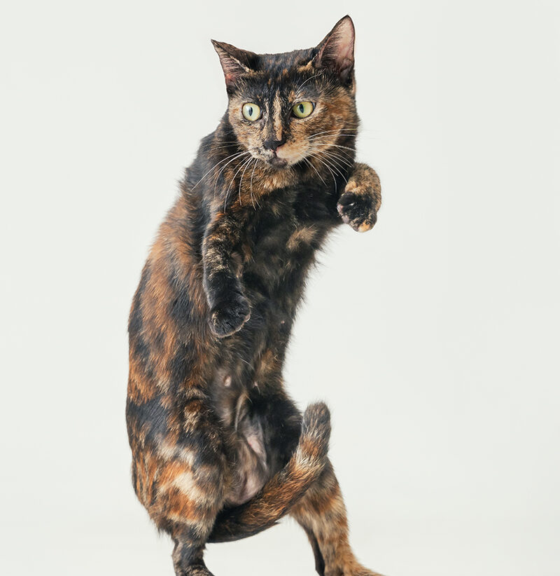 20251103103926100 20251103103926100