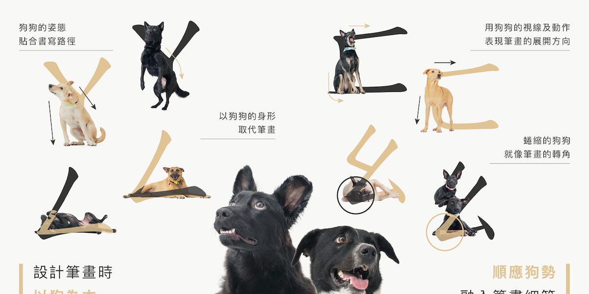 ブランドコラボレーションとメディア掲載の事例